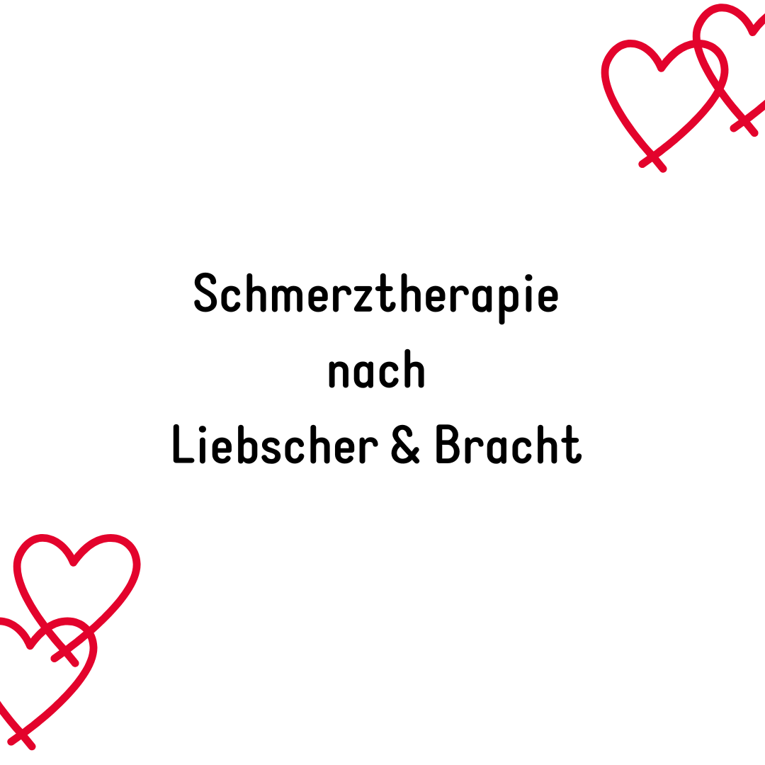 Liebscher und Bracht<br />
Schmerztherapie 